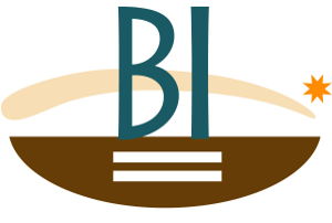 The W. Haywood Burns Institute